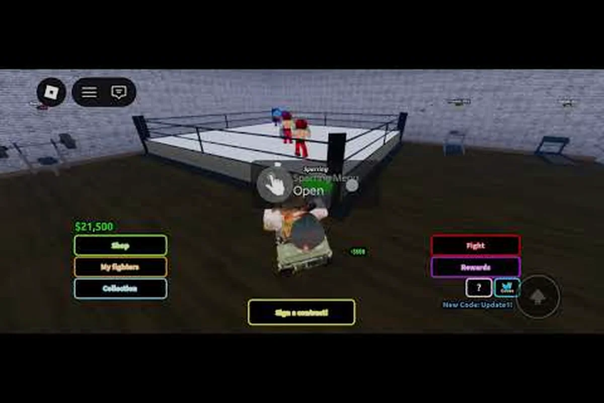Coach a Fighter Dexterity Training Guide: Speed & Accuracy
